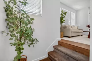 Photo #3: 226072795 Listing