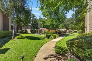 Photo #1: 226073110 Listing 