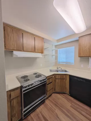 Photo #4: 226073178 Listing 