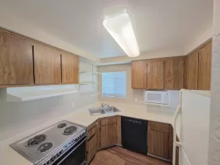 Photo #5: 226073178 Listing 