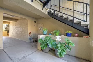 Photo #1: 226073305 Listing
