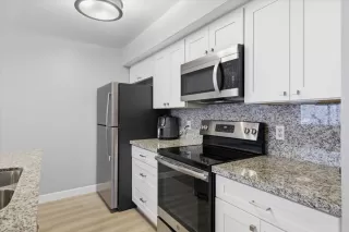 Photo #5: 226073717 Listing