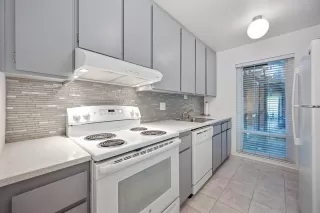 Photo #5: 226073880 Listing