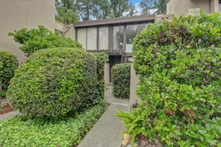 Photo #4: 226074278 Listing