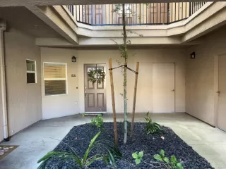 Photo #2: 226074428 Listing