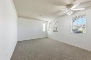 Photo #6: 226075055 Listing 