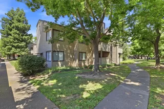 Photo #1: 226075381 Listing 