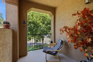 Photo #1: 226075833 Listing