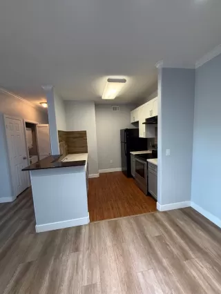 Photo #3: 226076182 Listing