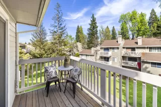 Photo #1: 226076997 Listing
