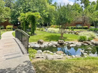 Photo #3: 226077125 Listing