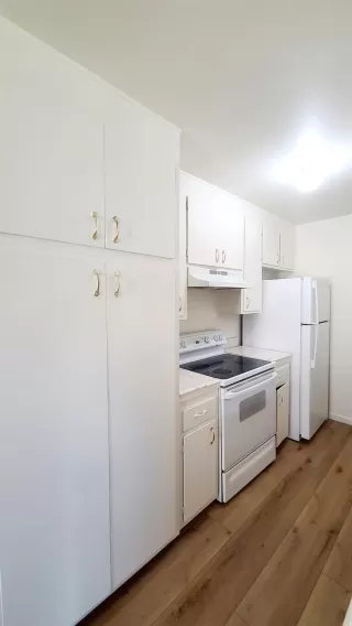 Photo #3: 226078827 Listing