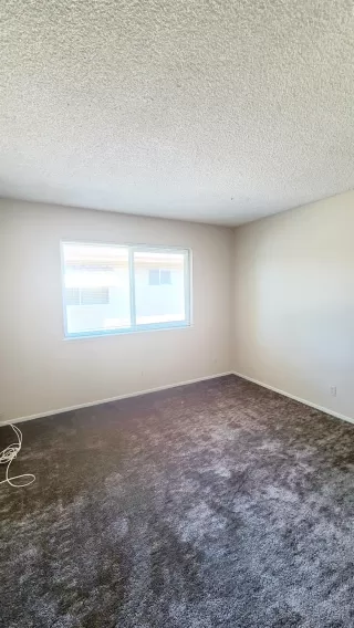 Photo #6: 226078827 Listing