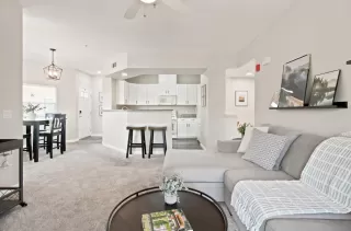 Photo #3: 226079438 Listing 