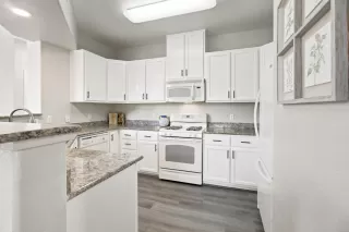 Photo #6: 226079438 Listing 