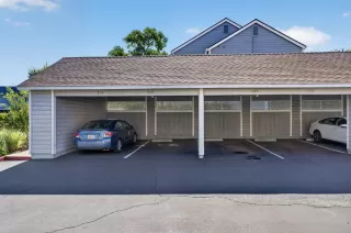 Photo #4: 226079496 Listing