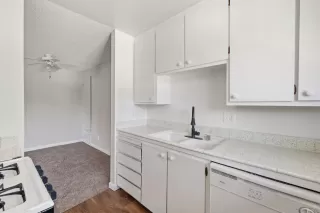 Photo #2: 226079606 Listing