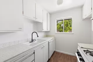 Photo #4: 226079606 Listing