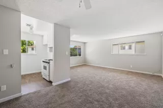 Photo #5: 226079606 Listing