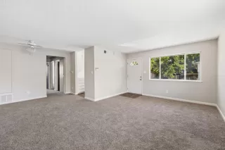 Photo #6: 226079606 Listing