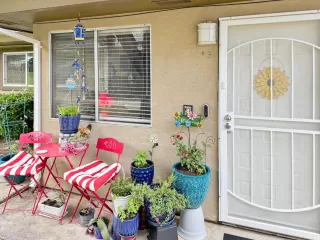 Photo #1: 226080041 Listing