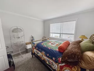 Photo #6: 226080041 Listing 