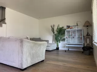 Photo #3: 226080347 Listing