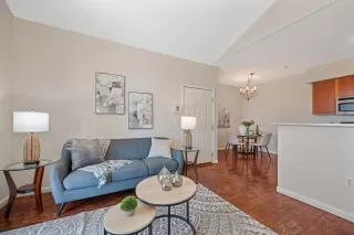 Photo #3: 226080637 Listing 