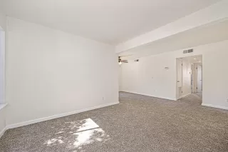 Photo #5: 226081028 Listing 