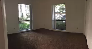 Photo #2: 226081523 Listing 