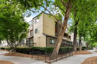 Photo #1: 226081865 Listing