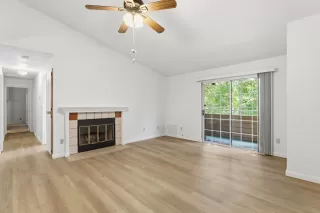 Photo #5: 226082949 Listing