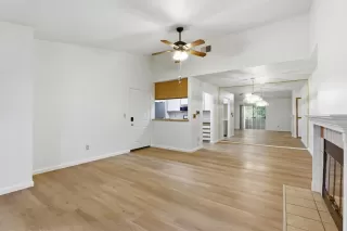 Photo #6: 226082949 Listing