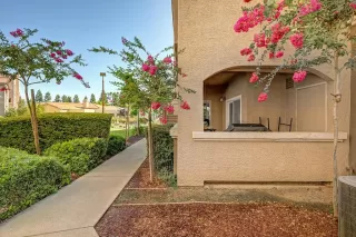 Photo #1: 226082956 Listing 