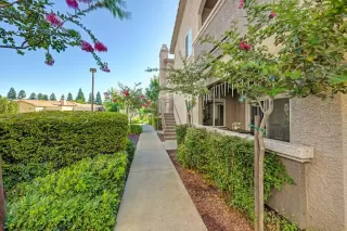 Photo #2: 226082956 Listing 