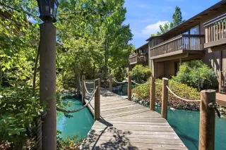 Photo #1: 226083708 Listing