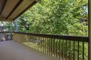 Photo #5: 226083708 Listing