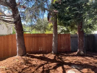 Photo #5: 226083879 Listing