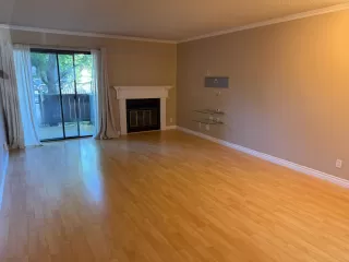 Photo #2: 226084228 Listing