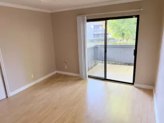 Photo #3: 226084228 Listing