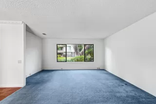 Photo #4: 226084339 Listing