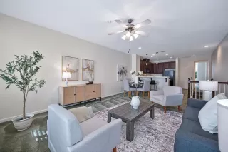 You might also be interested in PALOMAS AT FOSKETT RANCH