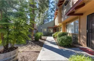 Photo #2: 226085326 Listing