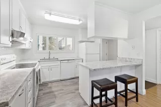 Photo #3: 226085326 Listing
