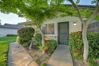 Photo #2: 226085456 Listing