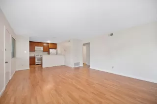 Photo #5: 226085456 Listing