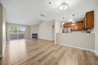 Photo #1: 226085533 Listing
