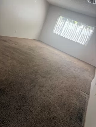 Photo #6: 226085634 Listing