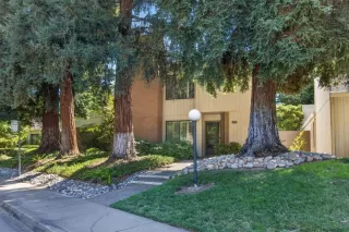 Photo #2: 226085654 Listing
