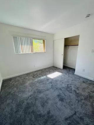 Photo #1: 226086368 Listing